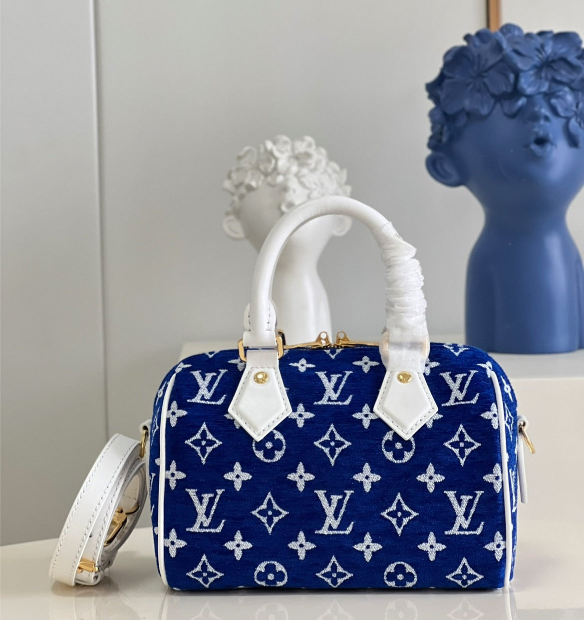LV speedy handbag